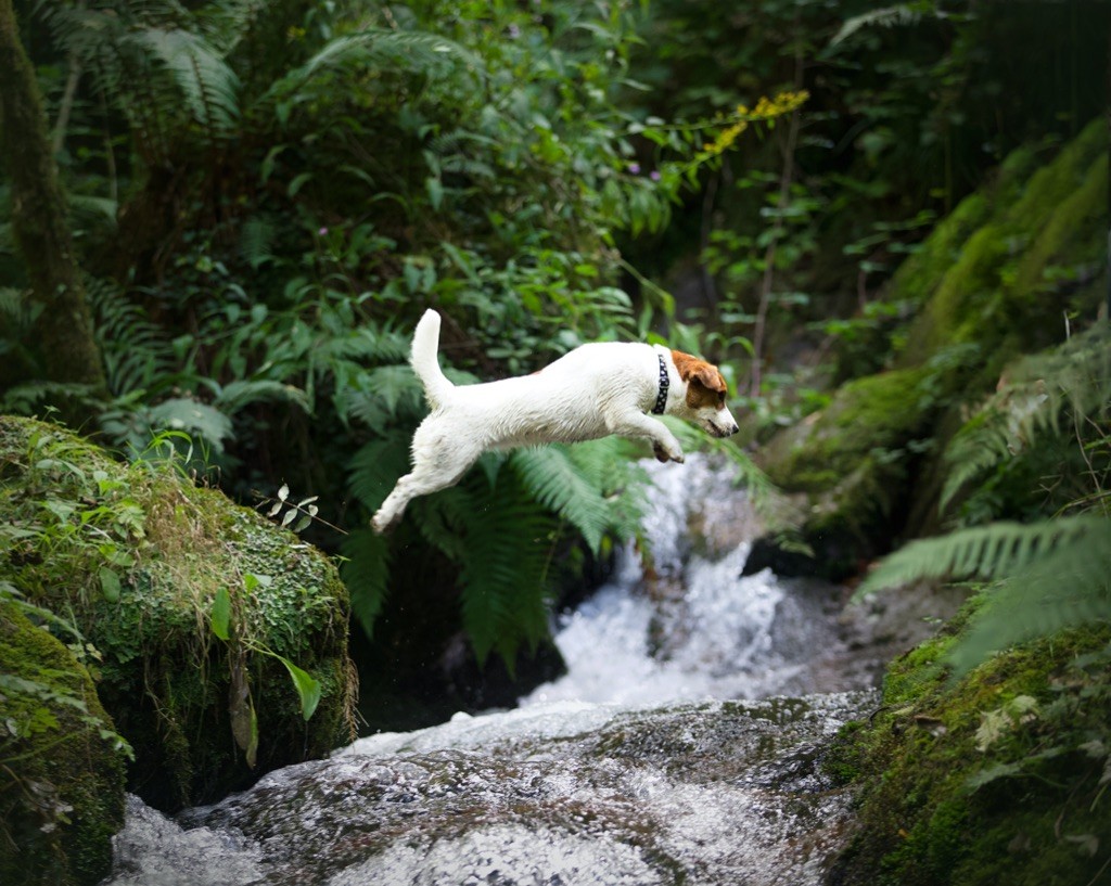 Cascade de Pan