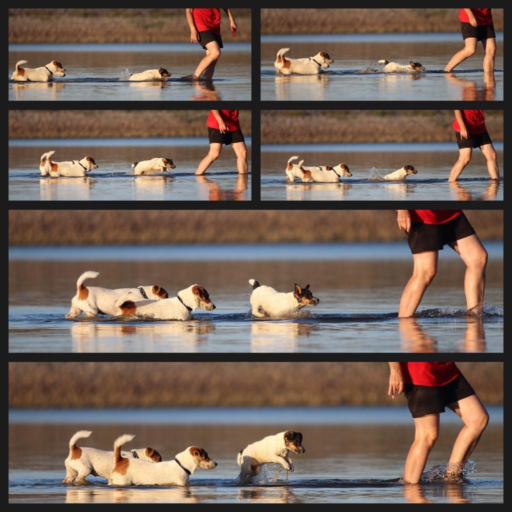 Photos lac aout 2020